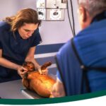 ¿Qué es una clínica veterinaria de especialidades y cuándo la necesita tu mascota?